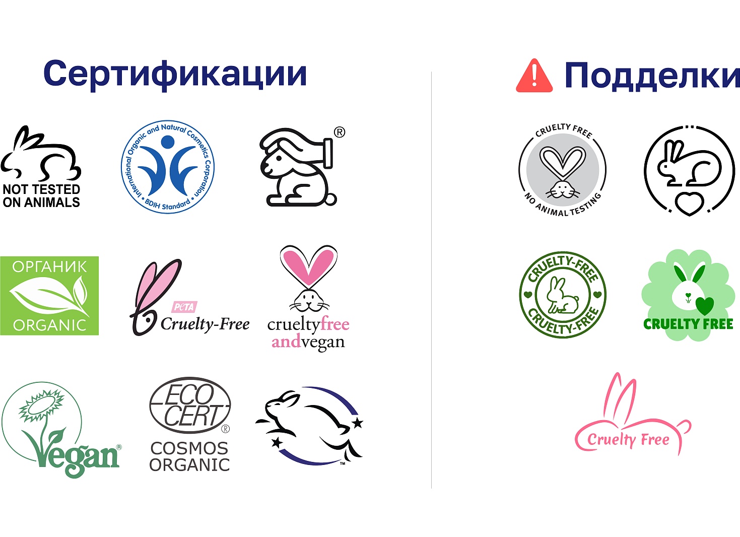 Бизнес в Дагестане: как построить бренд, выстроить логистику и не упираться в потолок